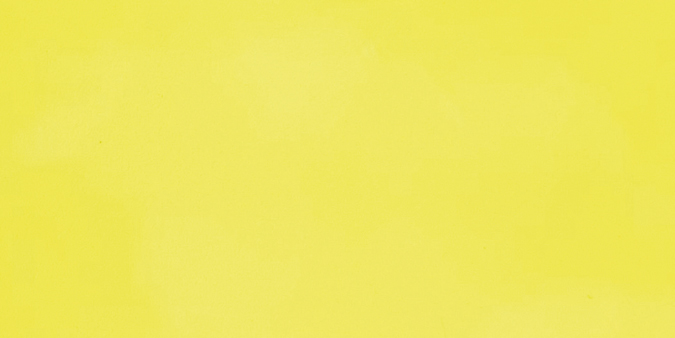 Canary Canary